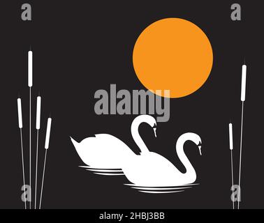 Deux cygnes blancs illustration nager dans un étang la nuit, vecteur.Des cygnes blancs se couplent dans un étang avec des plantes d'étang sur pleine lune.Motif toile Illustration de Vecteur