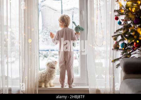 Adorable petit garçon en pyjama, debout devant de grandes fenêtres avec son chien, en profitant de la neige à l'extérieur Banque D'Images