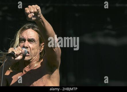 Iggy Pop se produit en direct sur scène le troisième et dernier jour du festival de lecture du week-end de Carling à Richfield Avenue le 28 août 2005 à Reading, en Angleterre. Banque D'Images