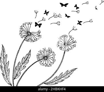 Arrière-plan pissenlit.Pissenlits, vol de graines, métaphore du vent de souffle.Silhouettes abstraites de fleurs et de papillons.Art relaxant, vecteur néotérique de la liberté Illustration de Vecteur