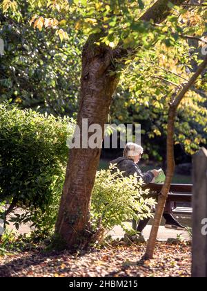 Une dame qui lit aujourd'hui dans le parc Collett à Shepton Mallet, dans le Somerset Banque D'Images