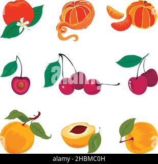 Ensemble de fruits frais Illustration de Vecteur