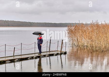 Homme asiatique marchant sous un parapluie sur une jetée en bois à l'automne, jour gris pluvieux sur toile de fond de lac et de forêt. Banque D'Images