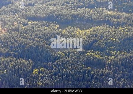 Vue aérienne sur la forêt en Norvège Banque D'Images