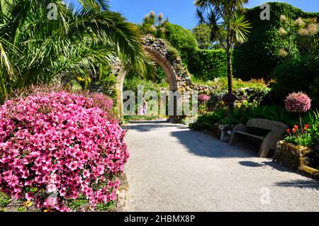 Les jardins de l'abbaye de Tresco ont été créés autour des ruines du Prieuré de Saint-Nicolas fondé par des moines de l'abbaye de Tavistock en 1114.Les arches sont c Banque D'Images