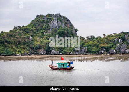 Bateau de pêche sur la baie d'Halong, dans le nord du Vietnam, avec des lits de culture d'huîtres en arrière-plan. Banque D'Images