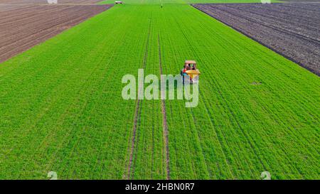 Vue ci-dessus sur le tracteur comme des lancers, fertilisant les terres arables avec la récolte de jeune blé vert, traînant la machine agricole montée pour l'épandage d'artif Banque D'Images