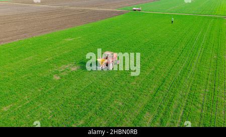 Vue ci-dessus sur le tracteur comme des lancers, fertilisant les terres arables avec la récolte de jeune blé vert, traînant la machine agricole montée pour l'épandage d'artif Banque D'Images