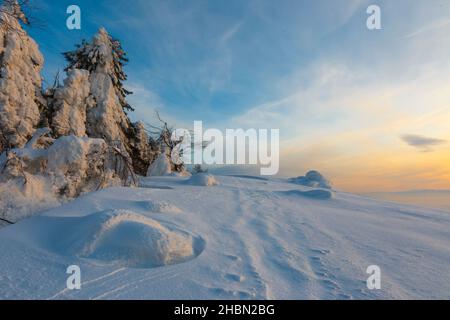 Paysage d'hiver sur un coucher de soleil.Carpathian montagnes, Roumanie Banque D'Images