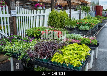 The Hardwick Farmers Coop à Hardwick, Massachusetts, vendre des fleurs, des plantes, des fournitures agricoles Banque D'Images