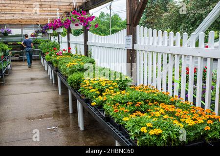 The Hardwick Farmers Coop à Hardwick, Massachusetts, vendre des fleurs, des plantes, des fournitures agricoles Banque D'Images