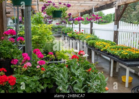 The Hardwick Farmers Coop à Hardwick, Massachusetts, vendre des fleurs, des plantes, des fournitures agricoles Banque D'Images