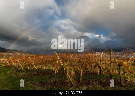 Arc-en-ciel par temps pluvieux à la fin de l'automne.Route des vins d'Alsace. Banque D'Images