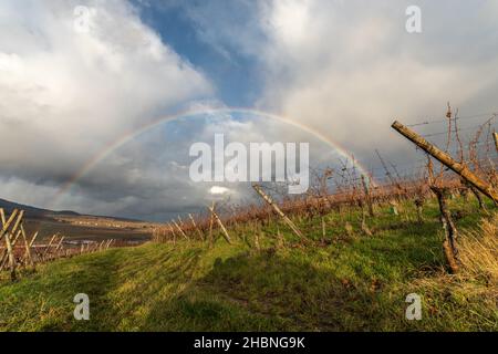 Arc-en-ciel par temps pluvieux à la fin de l'automne.Route des vins d'Alsace. Banque D'Images