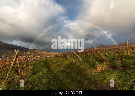 Arc-en-ciel par temps pluvieux à la fin de l'automne.Route des vins d'Alsace. Banque D'Images