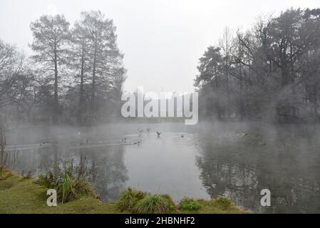 Milan, Lombardie, Italie.19th décembre 2021.Décembre 19, Milan, Lombardie, Italie: Une vue du parc Sempione, situé dans le centre-ville, pendant le brouillard épais crédit: Ervin Shulku/ZUMA Wire/Alay Live News Banque D'Images