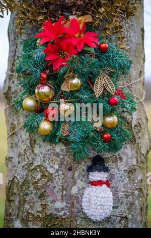 Une décoration de couronne de noël accrochée sur un tronc d'arbre de bois, Wiltshire Royaume-Uni Banque D'Images