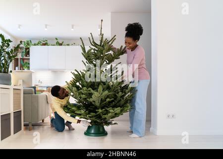 Tradition de Noël en famille.Jeune femme africaine souriante aidant son mari à mettre en place un arbre de Noël vivant Banque D'Images