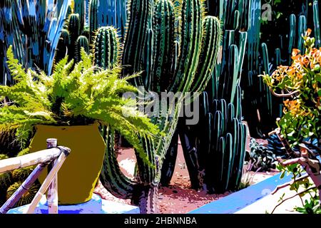 Illustration.Magnifique jardin botanique tropical avec différents types de plantes, palmiers et cactus le jardin Majorelle. Banque D'Images