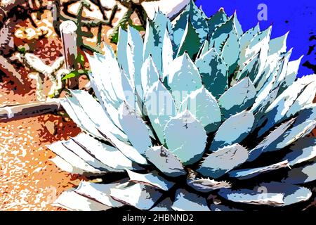 Illustration.Magnifique jardin botanique tropical avec différents types de plantes, palmiers et cactus le jardin Majorelle. Banque D'Images