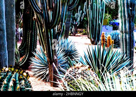 Illustration.Magnifique jardin botanique tropical avec différents types de plantes, palmiers et cactus le jardin Majorelle. Banque D'Images