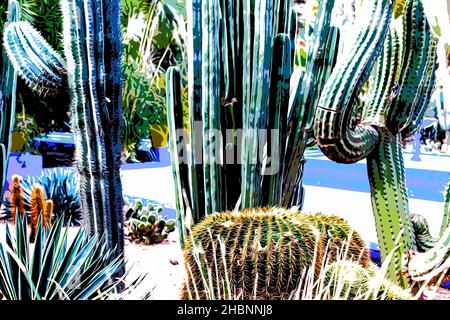 Illustration.Magnifique jardin botanique tropical avec différents types de plantes, palmiers et cactus le jardin Majorelle. Banque D'Images