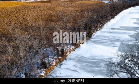 Pré dynamique juste à côté de la rivière gelée à Winneconne Wisconsin US après une chute de neige fraîche.Couleur jaune doré.Pris en décembre 2021 Banque D'Images