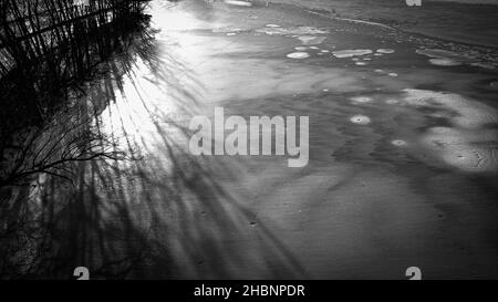 Noir et blanc donnant sur le lac gelé Banque D'Images