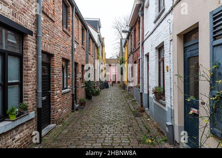Louvain, Brabant flamand, Belgique - 12 18 2021: Allée déserte avec petites maisons traditionnelles Banque D'Images