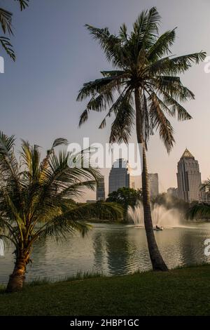 Le parc Lumpini est la principale zone de loisirs au cœur de la ville Banque D'Images