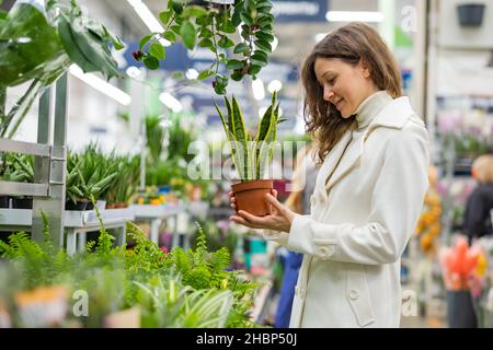 Une jeune femme européenne en manteau blanc choisit des plantes maison en pot dans un fleuriste Banque D'Images