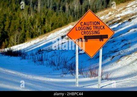 Un panneau de passage à niveau de camion de couleur orange avertissant les automobilistes de la possibilité qu'il y ait un camion de bois qui traverse la route dans les régions rurales du Canada de l'Alberta. Banque D'Images