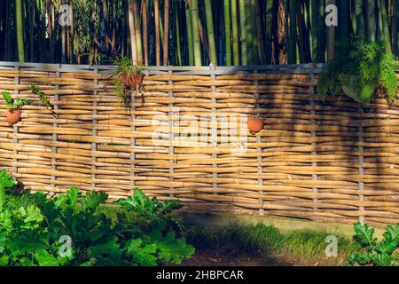 Paysage naturel avec vue sur un jardin en bambou et une clôture en bambou Banque D'Images