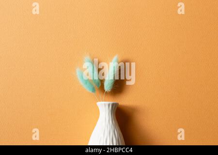 Vase de vert menthe Lagurus ovatus herbe de queue sur fond orange. Vue de dessus, espace de copie Banque D'Images