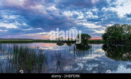 La prairie du Wyoming se reflète dans les eaux calmes. Banque D'Images