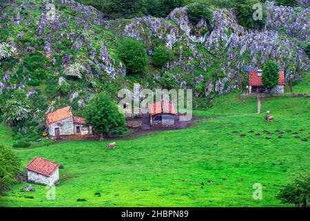 Ancienne ferme et maisons les Lacs de Covadonga, Picos de Europa, Parque Nacional de los Picos de Europa, Asturias, Cantabria, Espagne, Europe. L'un des arrêts de Banque D'Images