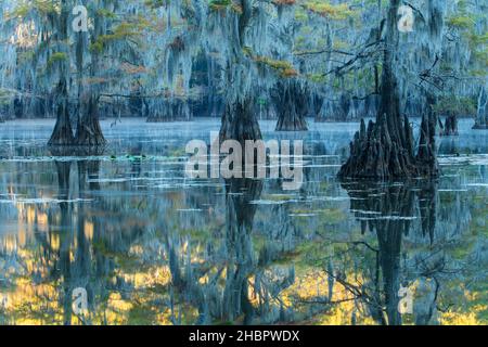 Etats-Unis, Texas, lac de Caddo *** Légende locale *** Etats-Unis, Texas, lac de Caddo, cyprès marécage, nature,est, américain, forêt, réflexion, nature,étang, scen Banque D'Images