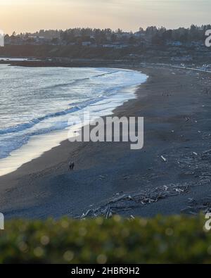Une verticale de deux personnes marchant le matin le long de la plage de sable. Banque D'Images