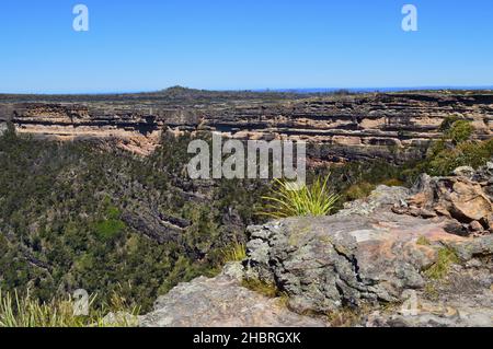 Vue sur la vallée depuis les murs de Kanangra, Nouvelle-Galles du Sud Banque D'Images