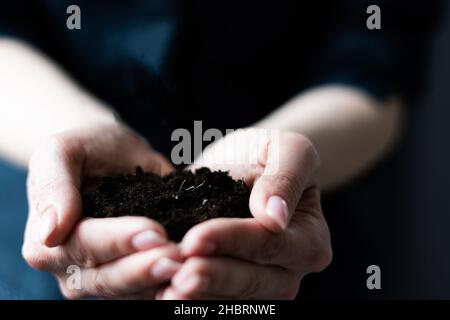 mains de femme tenant un sol humide foncé.Agriculture, jardinage biologique, plantation ou écologie concept.Environnement, jour de la terre.Bannière.Copier l'espace Banque D'Images