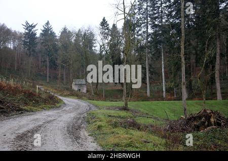 Chemin à travers la vallée de Fishpool au château de Croft près de Leominster, Herefordshire, Angleterre, Royaume-Uni. Banque D'Images