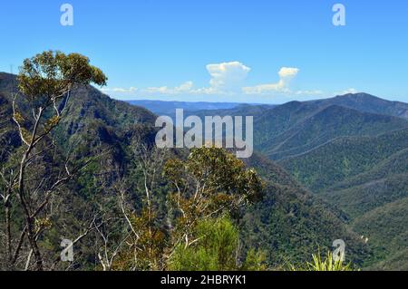 Vue sur la vallée depuis les murs de Kanangra près des grottes de Jenolan, Nouvelle-Galles du Sud Banque D'Images