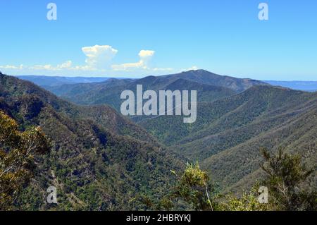 Vue sur la vallée depuis les murs de Kanangra près des grottes de Jenolan, Nouvelle-Galles du Sud Banque D'Images