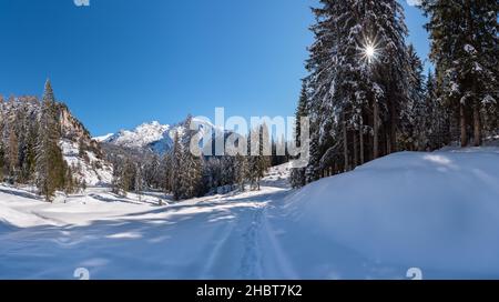 Paysage d'hiver ensoleillé dans le Salzburger Land, Pinzgau, Autriche Banque D'Images