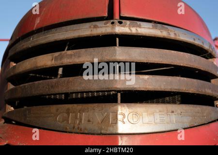 Capot avec calandre rouillée pour le compartiment moteur d'un vieux pick-up Chevrolet rouge de 1942 Banque D'Images