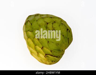 Fruit tropical de cherimoya isolé sur blanc Banque D'Images