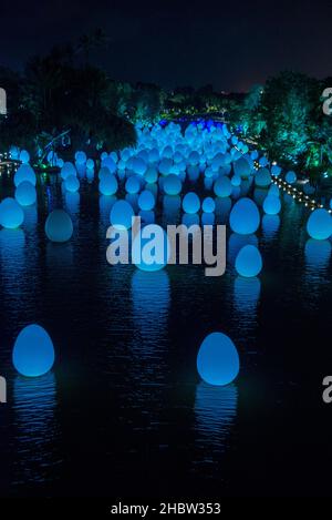 ' Autonomous résonant Life on the Water et résonant des arbres ' interactif de l'art numérique installation, Dragonfly lac, Jardins près de la baie, Singapour Banque D'Images