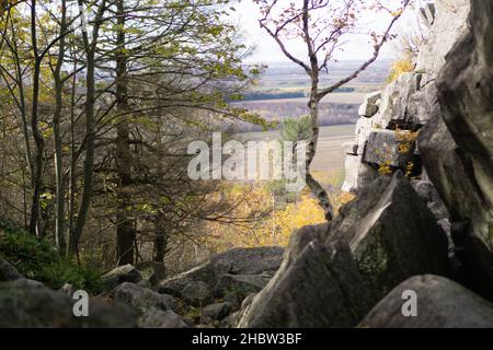 Une vue éloignée des champs vus à travers les branches d'arbre pendant la journée en automne Banque D'Images