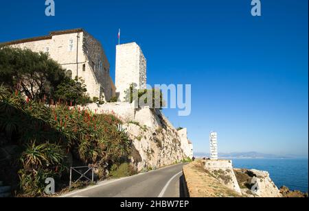 Ville d'Antibes, musée, tour d'aloès fleurit par une journée ensoleillée Banque D'Images