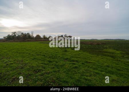 Paysage hollandais d'automne de la campagne Banque D'Images